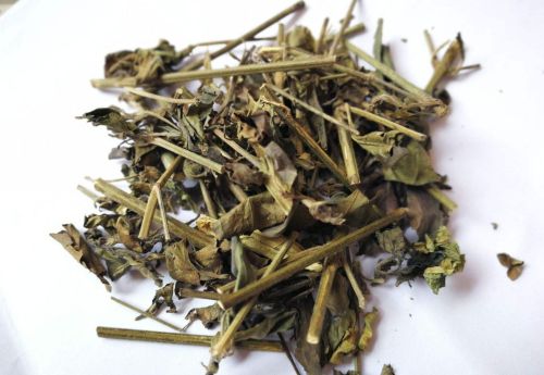 白鹤灵芝